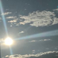 sacha (@dalakhani14) 's Twitter Profile