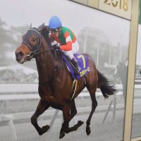 こーせい (@cxgbt7xrkc7568) 's Twitter Profile Photo