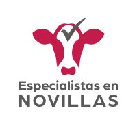Especialistanovillas (@ennovillasesp) 's Twitter Profile Photo