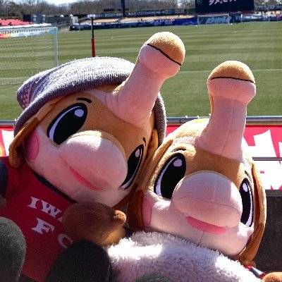 daily_hamadori's profile picture. 