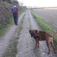 Entre bambalinas (@todo_lo_demas) 's Twitter Profile