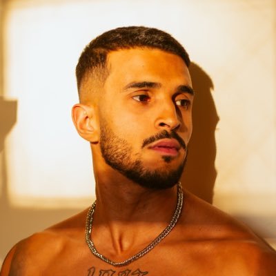 guilhermesenee's profile picture. ⚡️