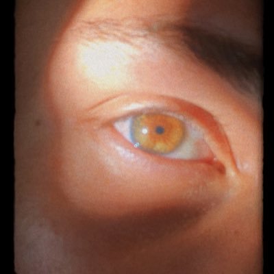 guto_flocs's profile picture. Pão de queijo