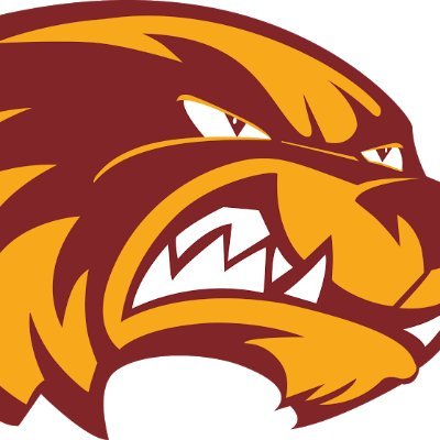 Official account of Au Gres-Sims Wolverines Girls Basketball