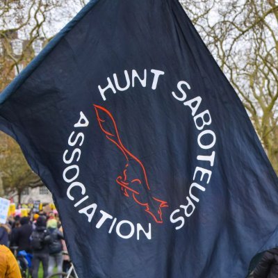 Chairperson of the Hunt Saboteurs Association
The UKs leading Anti-Hunt organization, working directly in the field to protect wildlife. Comments/Rants my own.