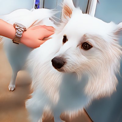 44vMzFHtnInxGrf's profile picture. 30代フリーランスSE｜エンジニア5年目｜未経験から中途採用でSES入社→独立｜現場で得たリアルな知識とスキル、エンジニアとしての成長の記録を配信｜ストレッチは日課｜筋トレ好き｜#フリーランスエンジニア #プログラミング #エンジニア仲間募集中｜一般社団法人個人事業主協会 所属｜お仕事・相談はDMでお気軽に！