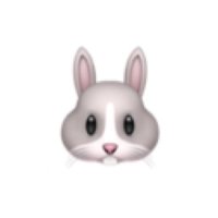ののちん🐰🐈‍⬛ (@s_b__t) 's Twitter Profile