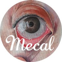 Mecal Fest BCN(@mecalbcn) 's Twitter Profile Photo