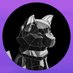 OmniGems (@omnigems) Twitter profile photo OmniGems (@omnigems) Twitter profile photo
