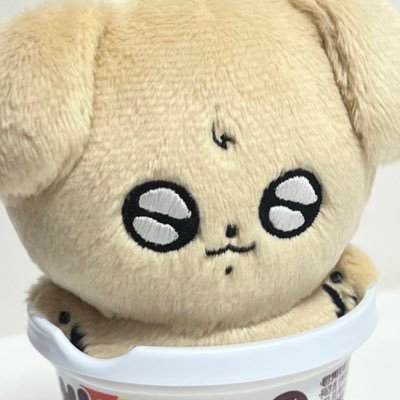 정국 10cm 인형  꼬질꼬질 아기 말티푸 | 공지 : 마음함