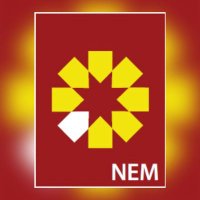 NEM Insurance Plc(@neminsuranceplc) 's Twitter Profile Photo