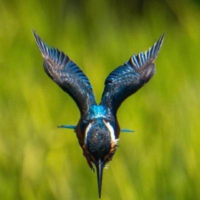 Wsjs1krrSE's profile picture. Twitterのキレを失ったが得たものは大きい