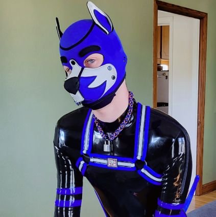 gay rubber pup, part time rubber drone. always in search of good bone. Drone# 2857.