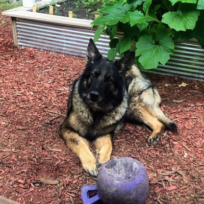 Kailennnn5's profile picture. 