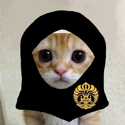 mylovelyycake's profile picture. 
