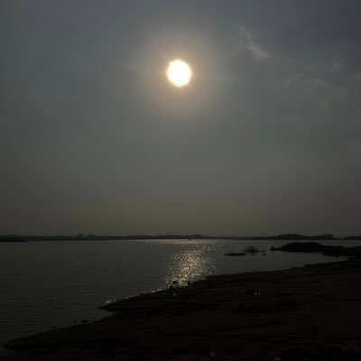 nithinveera11's profile picture. 