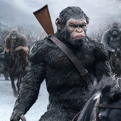 pepe24_7PeePee's profile picture. Believe in Truth for it will set you free. Also How did I end being surrounded by Hot babes and Crypto sales People? Apes together Strong!