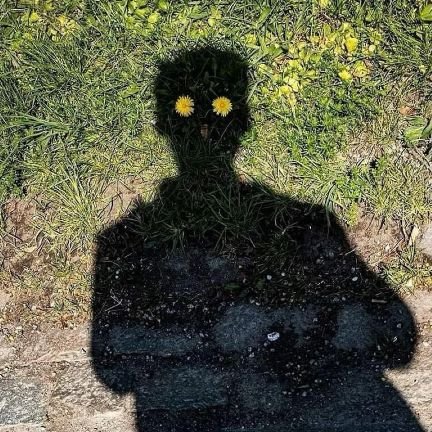 HimanshuLilhore's profile picture. Me like software...