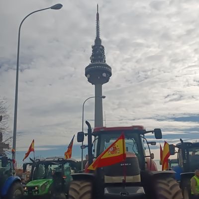 Javi_Henche's profile picture. Facta Non Verba.
✝️🇪🇦