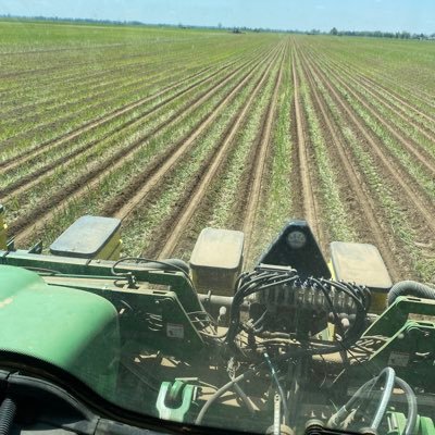 jaredgarner0430's profile picture. Rosen’s -Midsouth Nutritional Account Manager