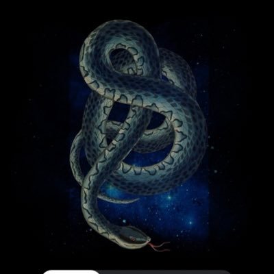 Space_Serpent Profile Picture