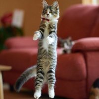 よし坊 (@xl1nbak4mxraak1) 's Twitter Profile Photo