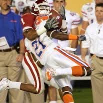 idpgainesville's profile picture. 