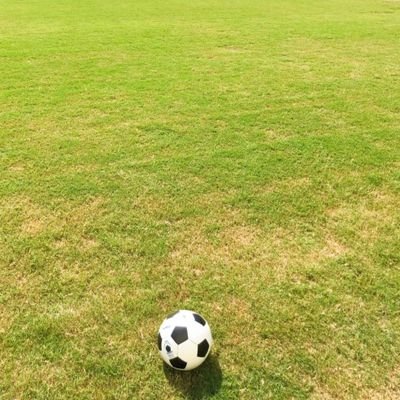 (新アカウント)新潟大学公認フットサルサークル
(活動)16時30分〜19時(月)(土)(場所)第3体育館