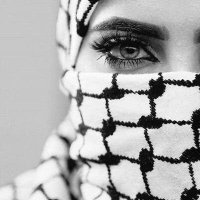 فلسطين قضيتي ✌🏻🔻(@H8WBpwkLtz84279) 's Twitter Profile Photo