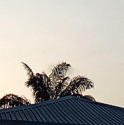 jamesuncover's profile picture. curiosity made me think🤔