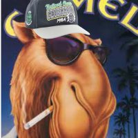 Hoyas Pack (@hoyaspack) 's Twitter Profile