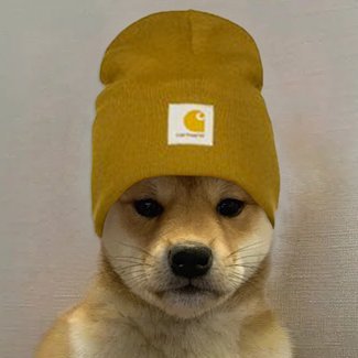 The dog wore many hats but the first was wif a $BEANIE 
Telegram: https://t.co/zL1sT9HEdE