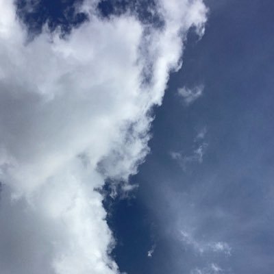 pimprapha65161's profile picture. 