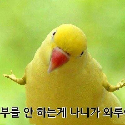 T43WIN's profile picture. 