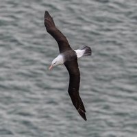 Vlad (@vlad52832024) 's Twitter Profile Photo