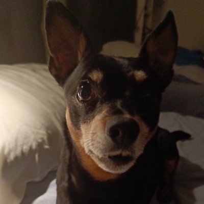 PabloOna4's profile picture. Bot mais avec un grand coeur