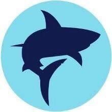 SarkeyShark Profile Picture