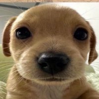 Sinnnš¤ (@imsinnn) 's Twitter Profile