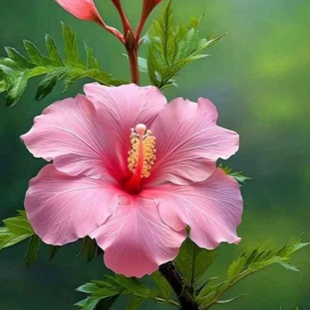 vk2789259710940's profile picture. I like x app, it gives good knowledge