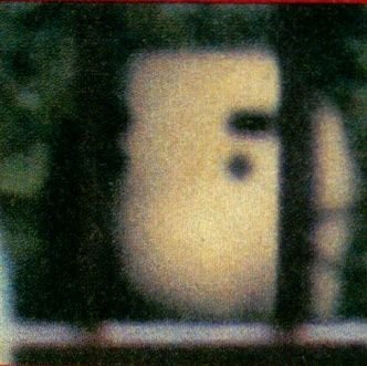 Torta Di Nociさんのプロフィール画像