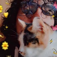 Ota XD (@otaxd_com) 's Twitter Profile Photo Ota XD (@otaxd_com) 's Twitter Profile Photo