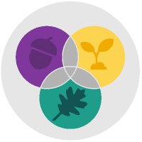 CIHR-IHDCYH (@cihr_ihdcyh) 's Twitter Profile