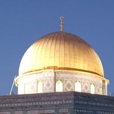 tezcan_imran's profile picture. 