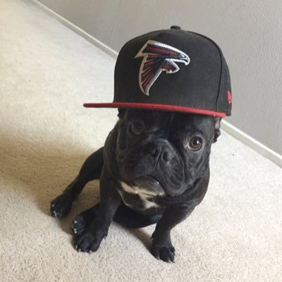 RevvDawg Profile Picture
