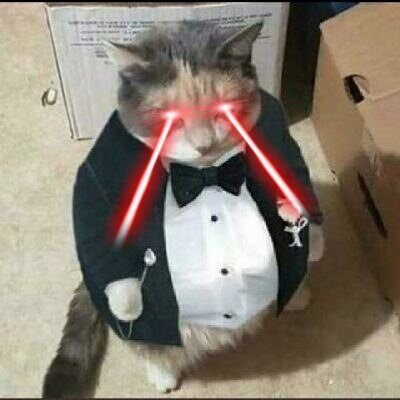 CypherCatt's profile picture. Libertário Bitcoinheiro.