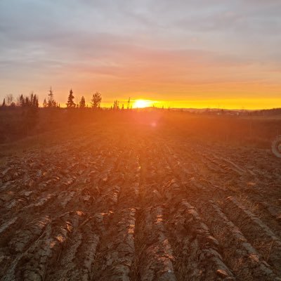 organic farm🇨🇦