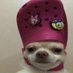 VRY Pingii (@aqui7_) Twitter profile photo VRY Pingii (@aqui7_) Twitter profile photo