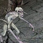 gay_monkey22222's profile picture. I write this all while taking shits