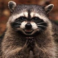 Gary (@gary_ssb) 's Twitter Profile