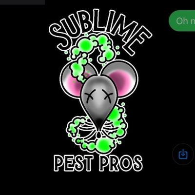 The Best In Pest
Preventative Sprays
Wasp And Hornet Nests
Ants
Spiders
Rodents
Stink Bugs
Bed Bugs